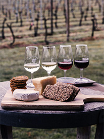 Four wine glasses, each with a different type of wine, sit on a small table with crackers and cheese. A vineyard in the background.