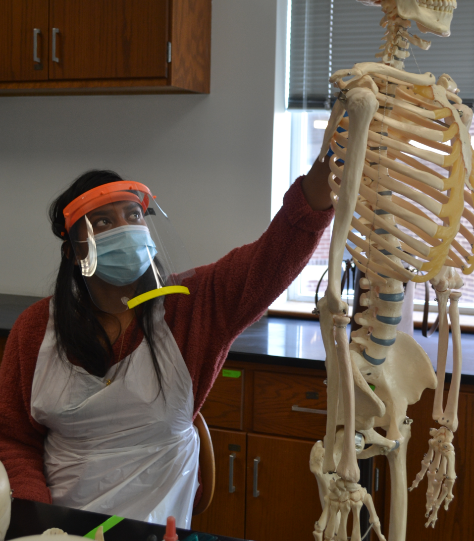 Bebi Bissember in science lab examining skeleton.