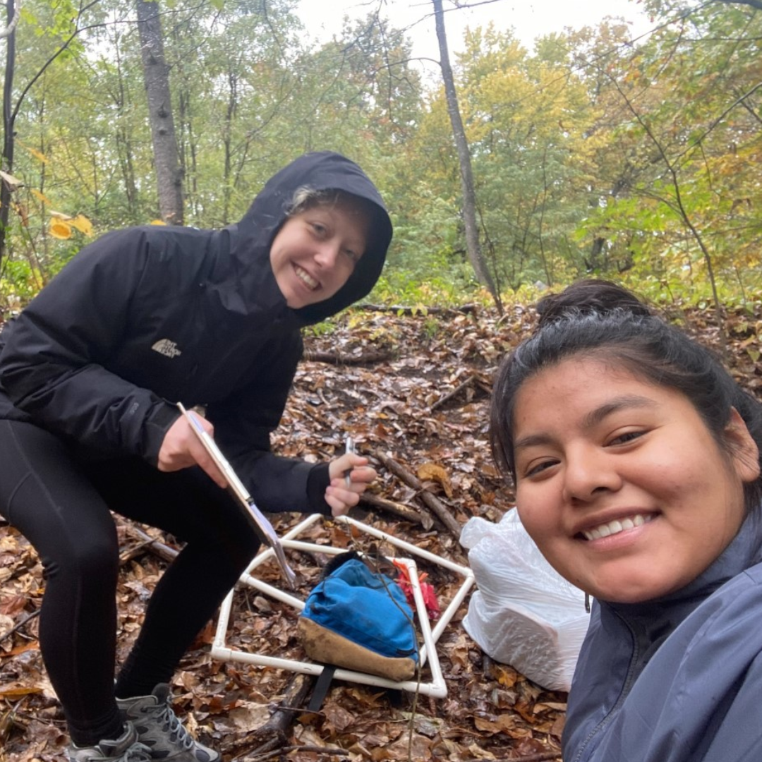 Science students in Vale Park.