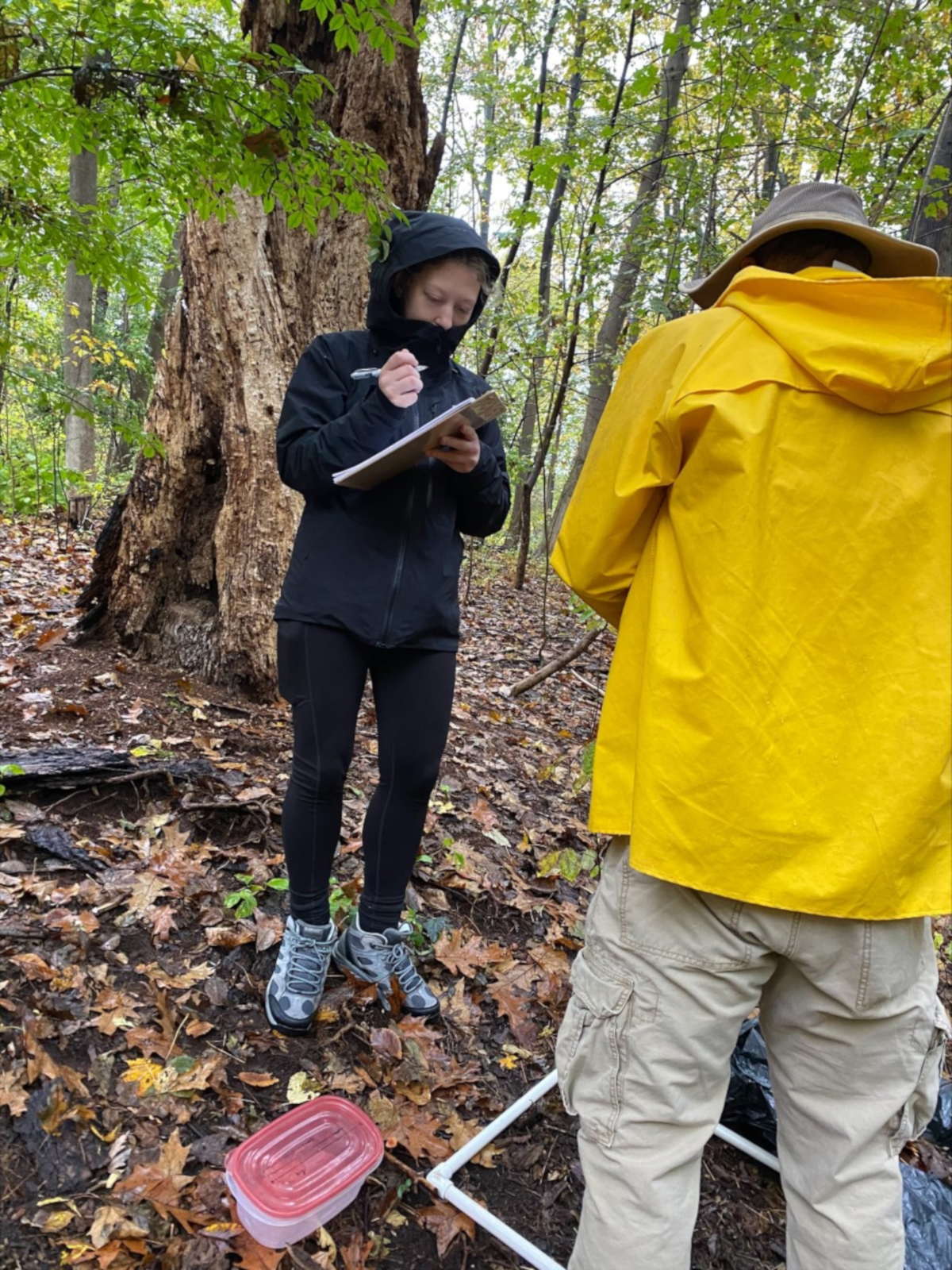 Student Sydney Swedick collecting data in Vale Park