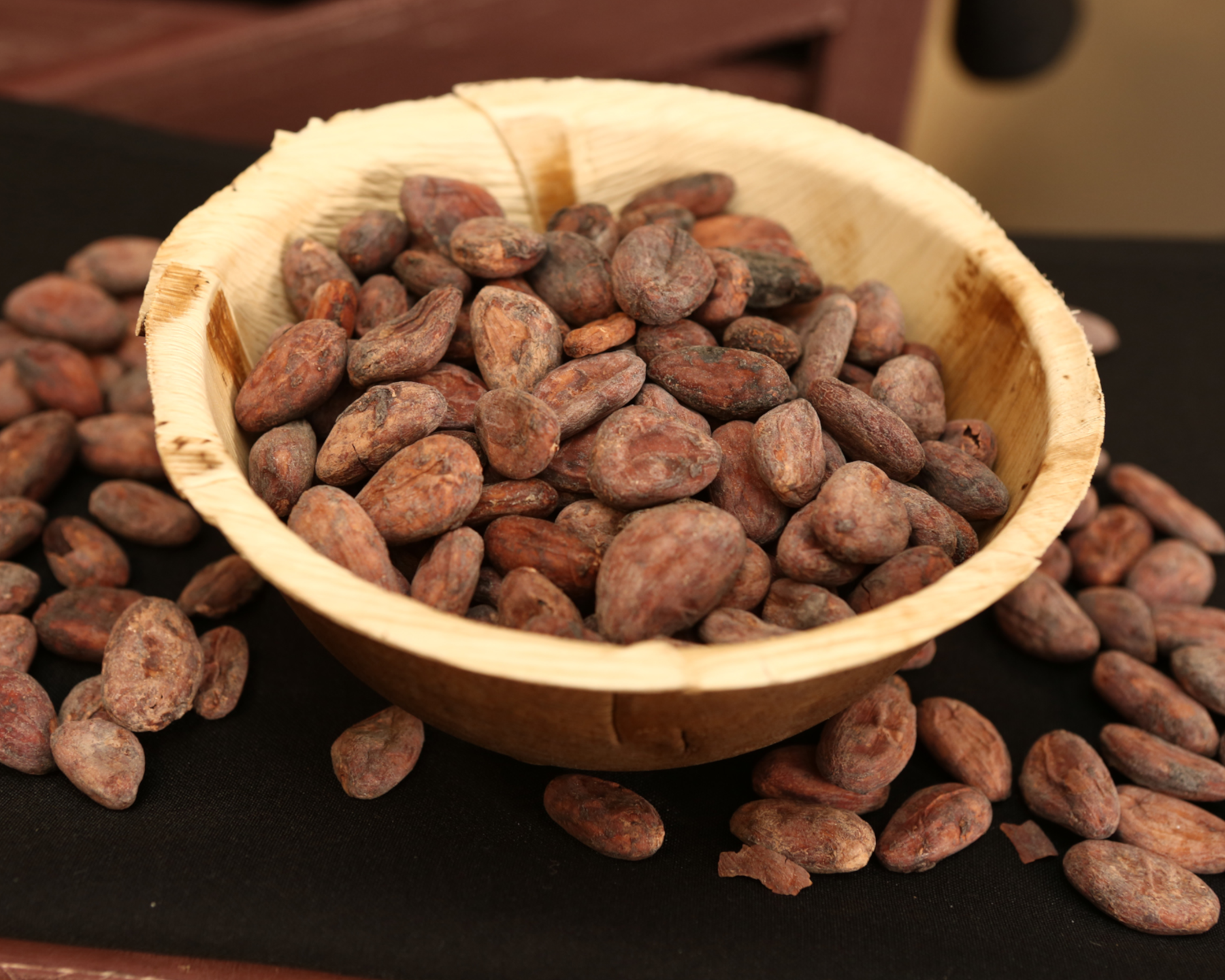 chocolate cocoa beans