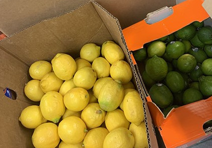 Boxes of lemons and limes to be donated.
